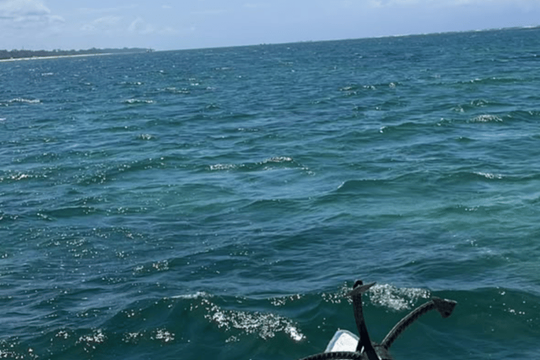 Mombasa to Diani full day snorkeling, beach and sunset tour