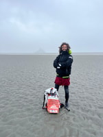 Bay of Mont Saint-Michel, Discovery e Quick Sands - Housity