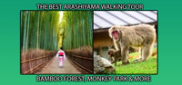 Kyoto, forêt de bambou d'Arashiyama, visite du parc des singes et des secrets - Hizvo