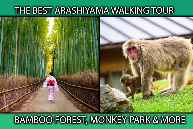 Kioto: Visita a pie al Bosque de Bambú y Parque de los Monos de ArashiyamaExcursión a pie por Arashiyama - Bosque de Bambú, Parque de los Monos y Más