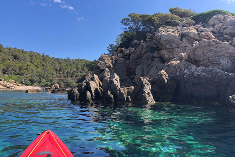 Discover the Island Dragonera by kayak and on foot