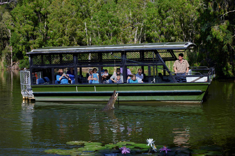 Desde Port Douglas Parque de Cocodrilos de Hartley, Skyrail y Tren