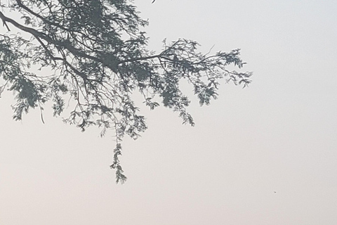 From Kampala: 2-Day Murchison Falls National Park Vacation