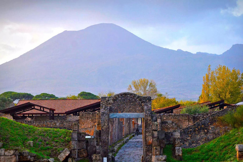 Vesuvius &amp; Pompeii Tour: Stap in de oude geschiedenis &amp; natuur