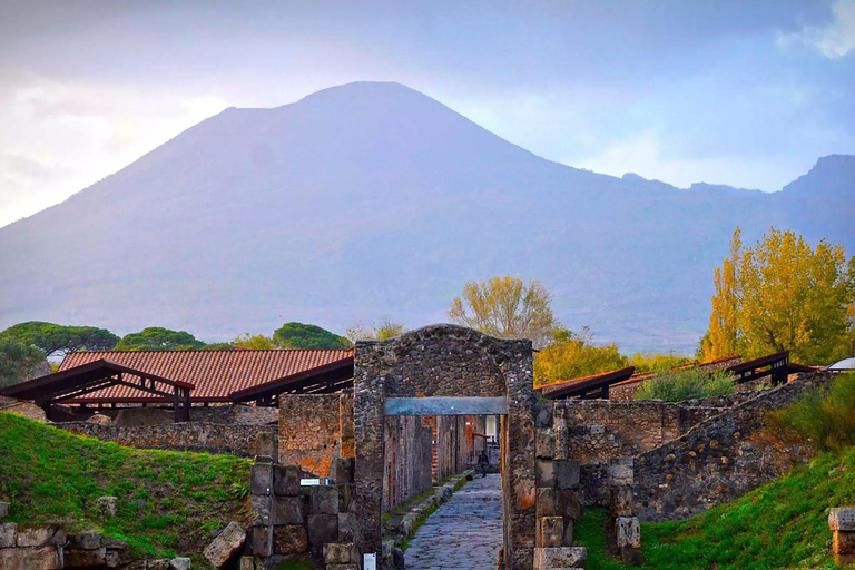 Vesuv &amp; Pompeji Tour: Eintauchen in die antike Geschichte und Natur