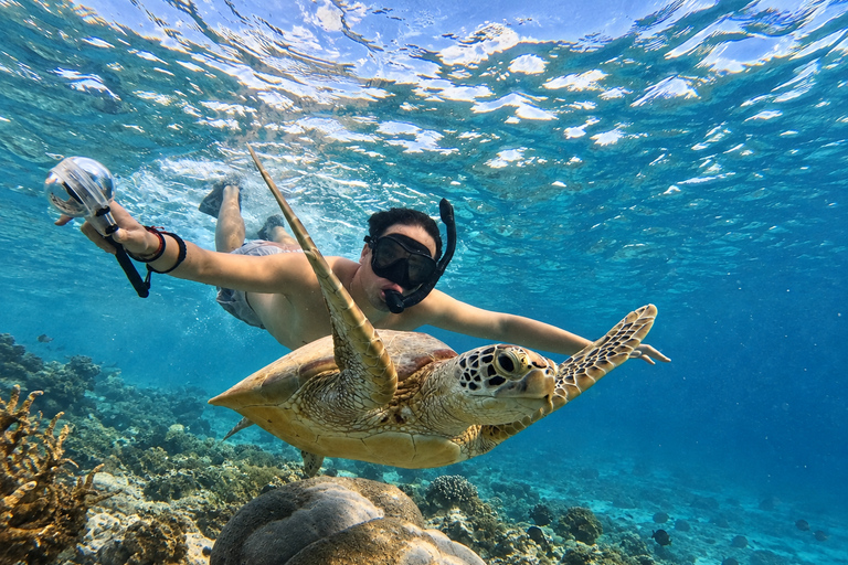 From Gili Air: Snorkelling Trip with Turtles, Statue & GoPro From Gili Air: Shared Snorkeling with Turtles, Statue &GoPro