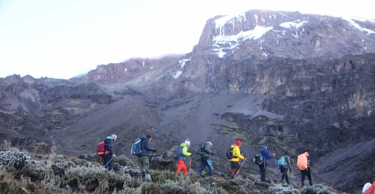 7 天勒莫绍路线乞力马扎罗山登山旅游套餐 GetYourGuide