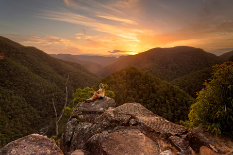 Intimate Blue Mountains Wild Kangaroos, Wilderness & Sunset