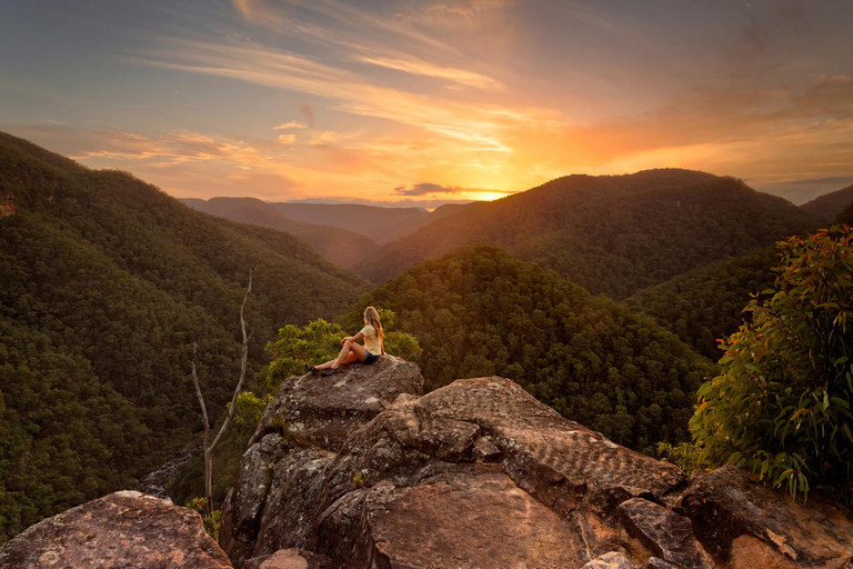 Intimate Blue Mountains Wild Kangaroos, Wilderness & Sunset