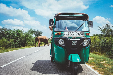 From Sigiriya: Sigiriya Lion Rock & Village Tour by Tuk Tuk