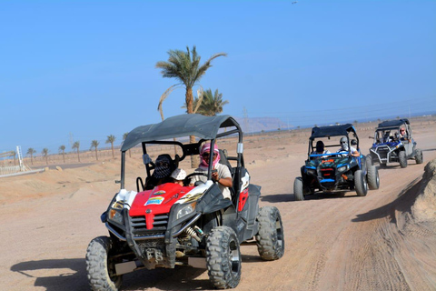 Sharm El-Sheikh: Super Safari, ATV, Stargazing & BBQ Dinner 2 Person Option ( DBL BUGGY )