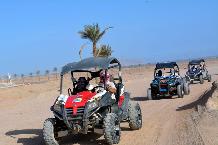 Sharm El-Sheikh: Super Safari, ATV, Stargazing & BBQ Dinner 2 Person Option ( DBL BUGGY )