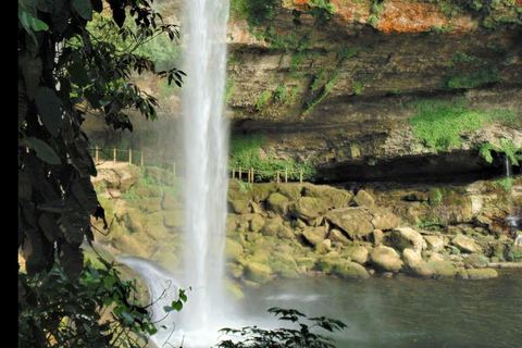 Chiapas: Tour particular pela natureza 4 dias e 3 noturnosTour particular pela natureza em 4 dias