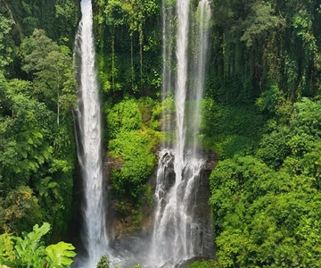 Noord-Bali: Sekumpul en Banyumala watervallen & rijstterras