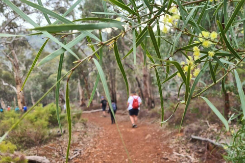 Perth: Cascate, fiori selvatici e l&#039;esperienza escursionistica di Wandoo