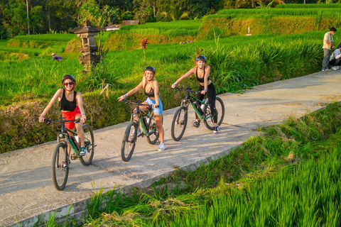 E-Bike: Terrazas de Arroz y Pueblos Tradicionales de Ubud en BicicletaE-Bike & Comida & Traslado no en Ubud