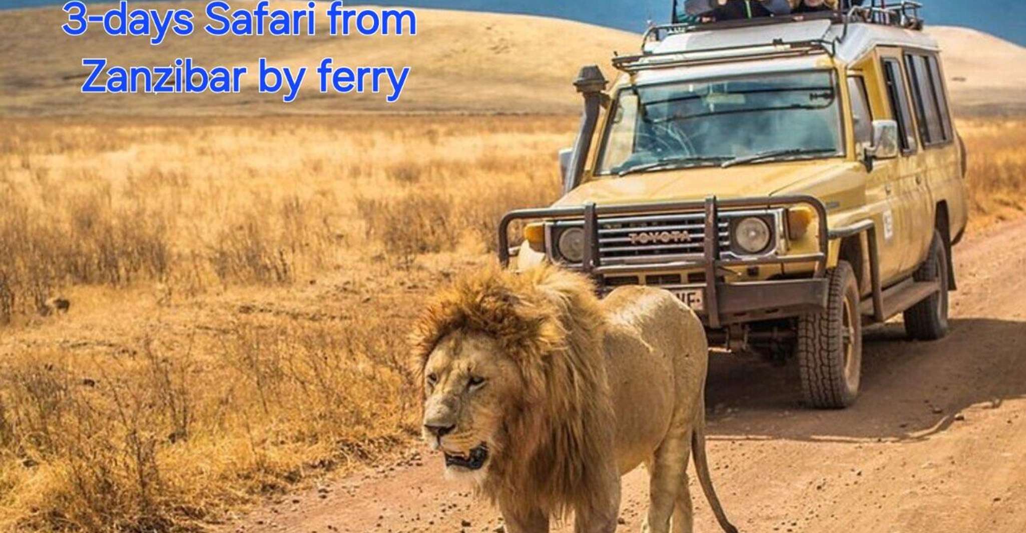 3 DAYS, 2 NIGHTS SAFARI FROM ZANZIBAR TO MIKUMI BY FERRY.