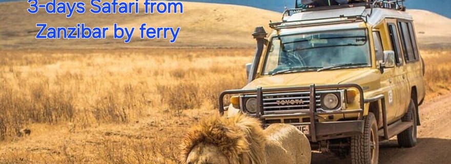 SÉJOUR DE 3 JOURS ET 2 NUITS : SAFARI DE ZANZIBAR À MIKUMI EN FERRY.