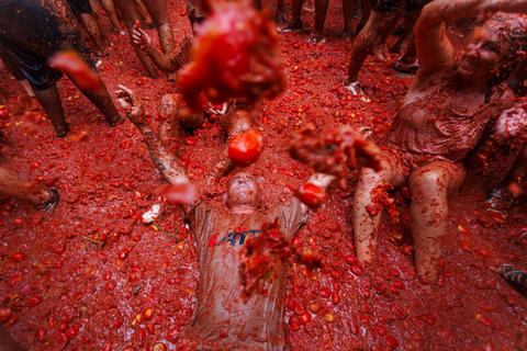 From Valencia: Experience La Tomatina 2026 with Private Transportation and an Expert Guide