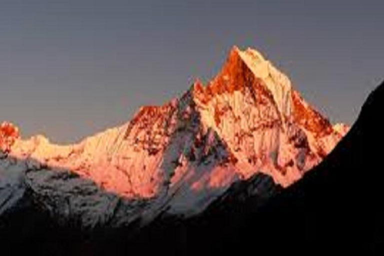 Pokhara: Caminhada de 7 dias e 6 noites no acampamento base do Annapurna HimalayasExcursão particular de trekking com refeições incluídas.