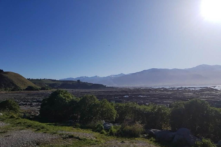 From Christchurch: 2-Day Kaikōura Tour with Accommodation