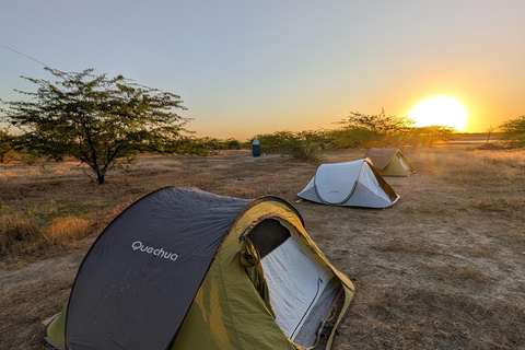 Saloum Delta: 3 days of adventure in the middle of nature, camping on a desert island Saloum Delta: Camping and Adventure