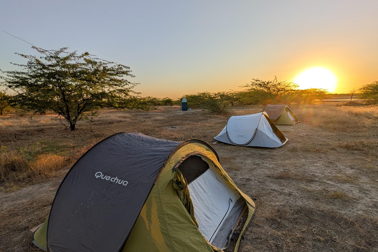 Saloum Delta: 3 days of adventure in the middle of nature, camping on a desert island Saloum Delta: Camping and Adventure