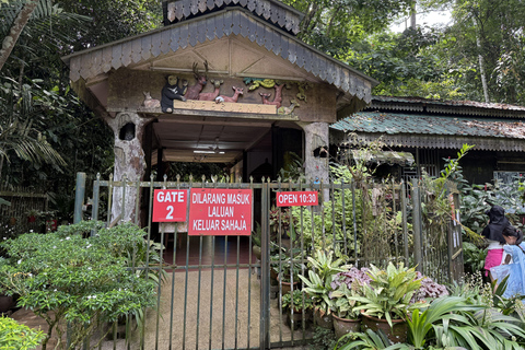 From Kuala Lumpur: Kuala Gandah Elephant Sanctuary Day Trip Shared Tour at Meeting Point Options