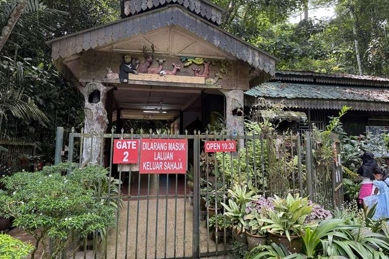 From Kuala Lumpur: Kuala Gandah Elephant Sanctuary Day Trip Shared Tour at Meeting Point Options