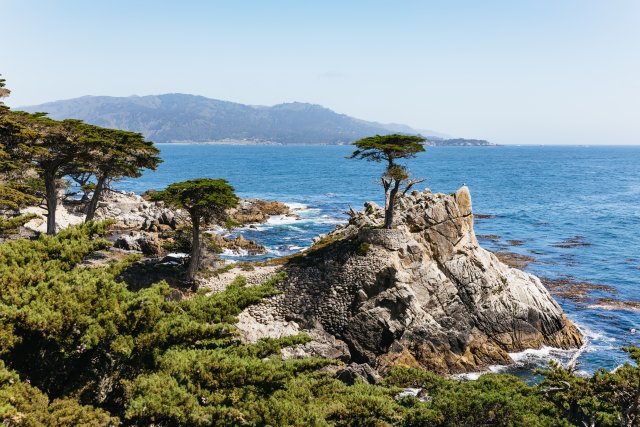 Ab San Francisco: Monterey- und Carmel-Tagestour