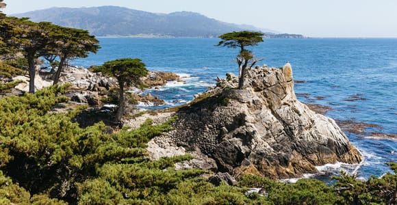 Von San Francisco aus: Monterey und Carmel Tagestour