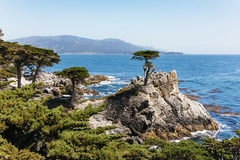 De São Francisco: Excursão de 1 Dia a Monterey e Carmel