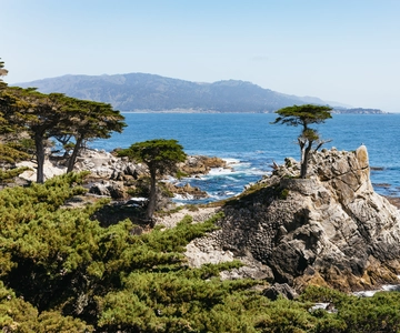 From San Francisco: Monterey and Carmel Day Tour