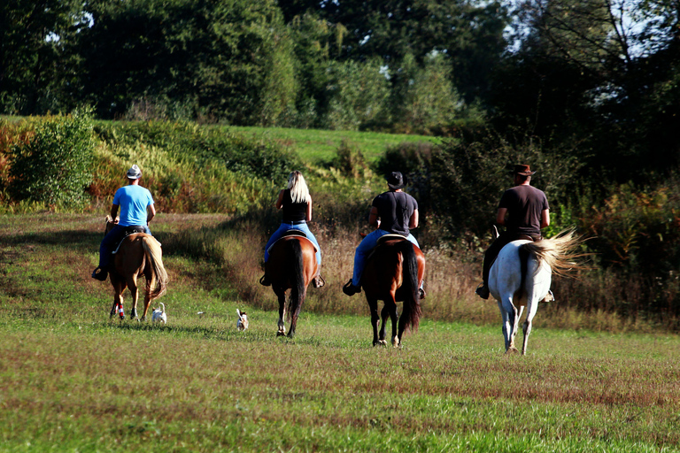 Plitvice: Horseback Riding Tour with Cave Entry Ticket Ride to Barać Caves (Half‑day Horseback Tour)