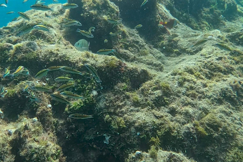 Try dive and have a wonderful experience in LanzaroteDiving in Lanzarote at the most beautiful area