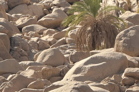 HRG: Jeep Safari with Quad, Buggy, Camel, Opt/ Dinner & show Mega Safari with Quad, Buggy, Camel ride & Bedouin camp