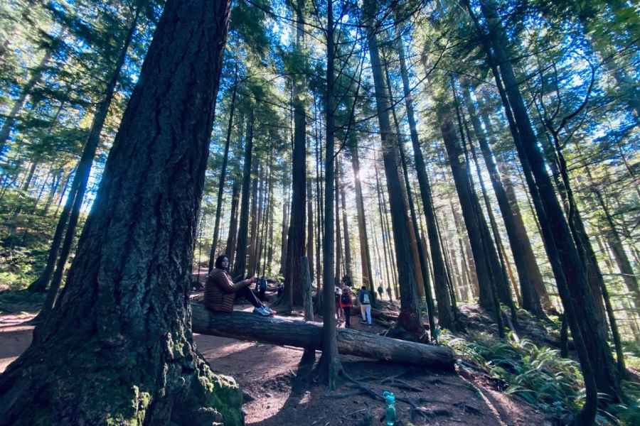 Seattle: Sensory Hike in Twin Fall für abenteuerlustige Familien. Foto: GetYourGuide