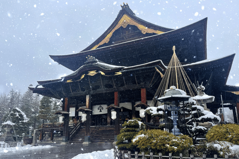 Nagano: Snow Monkeys, Zenkoji Temple & Sake Day Trip