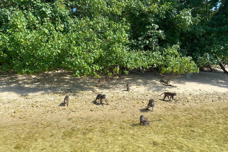 Khao Lak: Khao Na Yak Snorkeling and Monkey Beach Tour