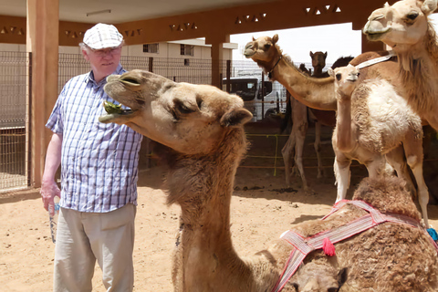迪拜：乘坐 Abra Ride 游览老城区迪拜：老城区徒步之旅（无接送）
