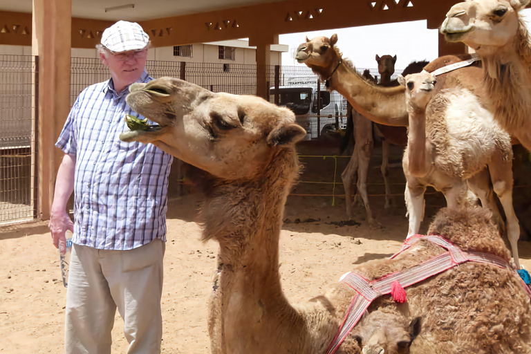 迪拜：乘坐 Abra Ride 游览老城区迪拜：老城区徒步之旅（无接送）