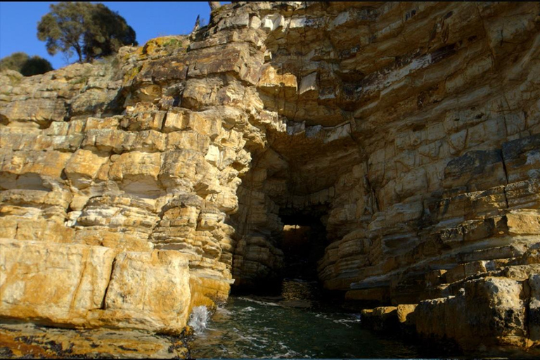 Tour a piedi del patrimonio culturale di Hobart e crociera al faro di Iron Pot