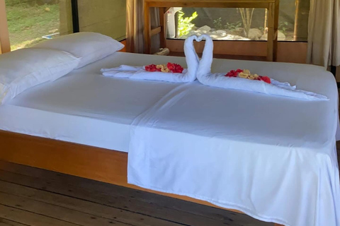 Puerto Jiménez: La Leona Overnight with a Stop at Corcovado