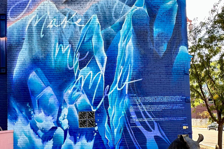 Denver: North RiNo Art District Graffiti and Street Art Tour