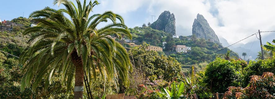 Z południa Teneryfy: wycieczka na wyspę La Gomera