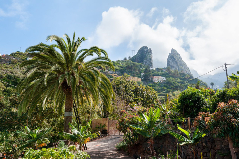 Vanuit Zuid-Tenerife: bezoek aan La GomeraVanuit Zuid-Tenerife: eilandtour La Gomera