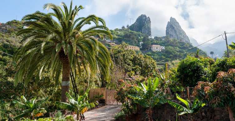 From South Tenerife La Gomera Island Tour GetYourGuide