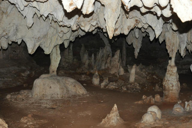 Sansibar: Kiwengwa-Wald- und Strand-TourSansibar: Kiwengwa-Wald und Strand-Tour