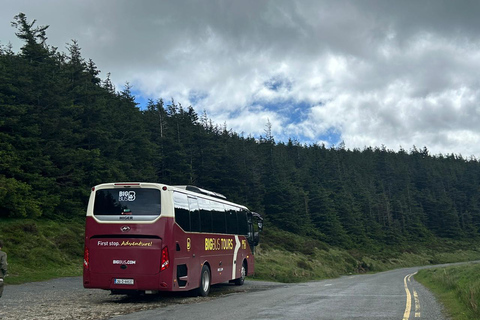 From Dublin: Wicklow Mountains & Glendalough Guided Tour