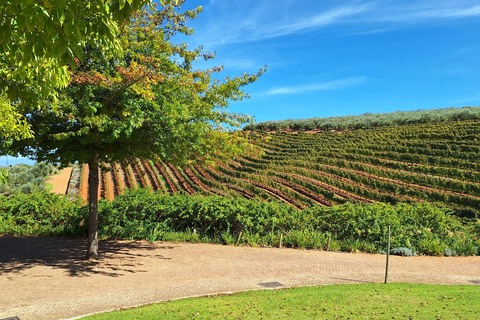 Private Wine Tasting tour